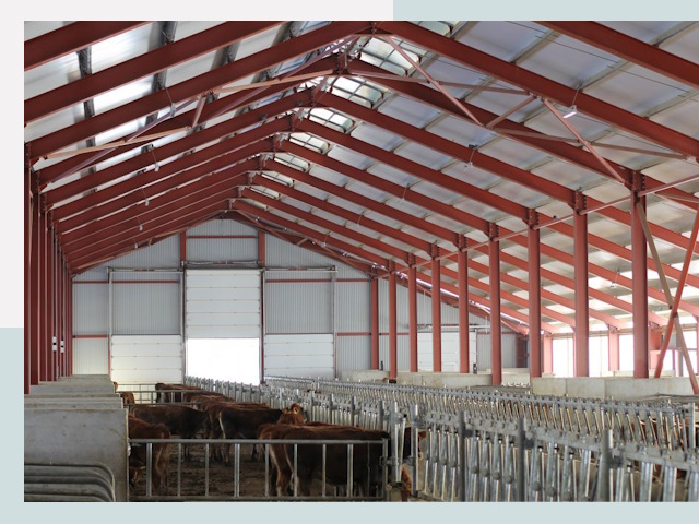 Строительство коровников в Калининграде