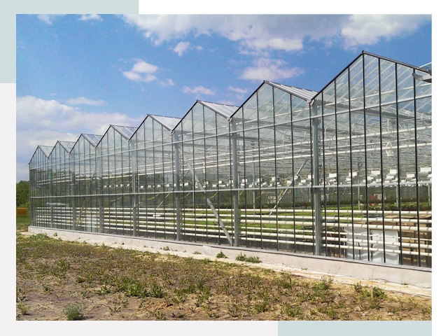 Строительство теплиц в Калининград от 607 руб. за м²