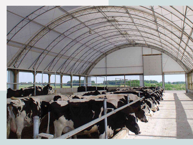 Тентовые коровники в Калининграде
